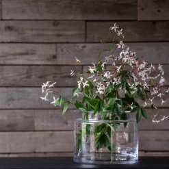 Old Farm Collection vase H20 cm klar