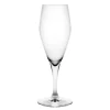 Perfection champagneglass 23 cl
