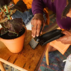 Plantespade og kost 2-in-1