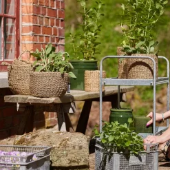 Pottekurv sjøgress 3 stk 18+16+14 cm