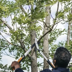 PowerGear™ grensaks sideskjær M LX94 68,5 cm oransje/svart