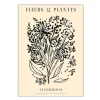 PSTR Studio poster 50x70 cm zoe fleurs et plantes bouquet stockholm