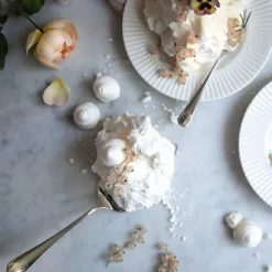 Radford Bright kakespade i gaveeske blank