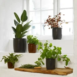 Redskapskrukke 1L brun