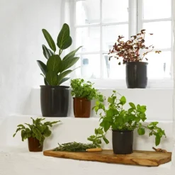 Redskapskrukke 0,5L brun