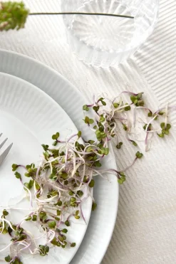 Relief frokosttallerken 22 cm 4 stk