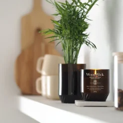 Renew duftlys medium black currant & rose