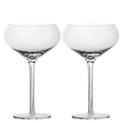 Saga champagnecoupe 27 cl 2 stk