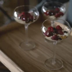 Saga champagnecoupe 27 cl 2 stk