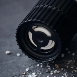 Salt the secret blend