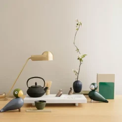 Sangfugl nattergal aqua