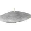 Seashell figurlys 5x15 cm taube grey