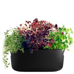 Selvvannende urtepotte 31x13 cm svart