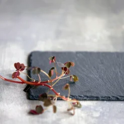 Serveringsbrett 12x20 cm grå