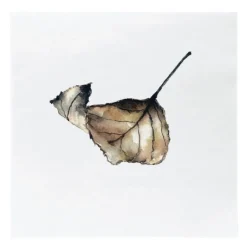 Serviett 33x33 cm høstblad