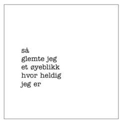 Servietter lunsj 16,5x16,5 cm 20 stk "heldig"