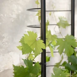 Simply Grow espalier til ytterpotte svart