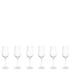 Sky champagneglass flute 25 cl 6 stk