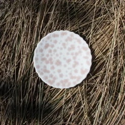 Slåpeblom miniasjett 13 cm rosa