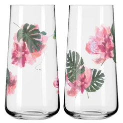 Sommersonett allroundglass 2 stk Monstera