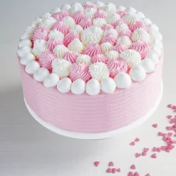 Sprøytesett 5 deler metalltyller, adapter og sprøytepose 35 cm