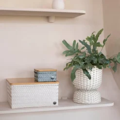 Top Fit stor oppbevaringskurv m/lokk 31x23x15 cm champagne