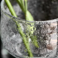 Tuur vase 8,5 cm klar