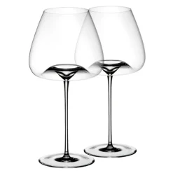 Vision vinglass balanced 2 stk